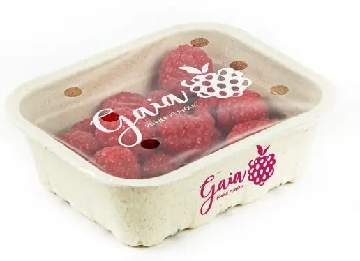 gaia-frambuesa-bio-packaging