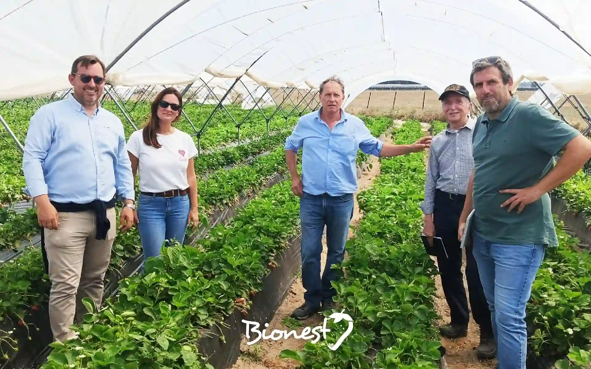 Equipo fitopatología en el campo