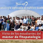 Fitopatologías en la agricultura ecológica