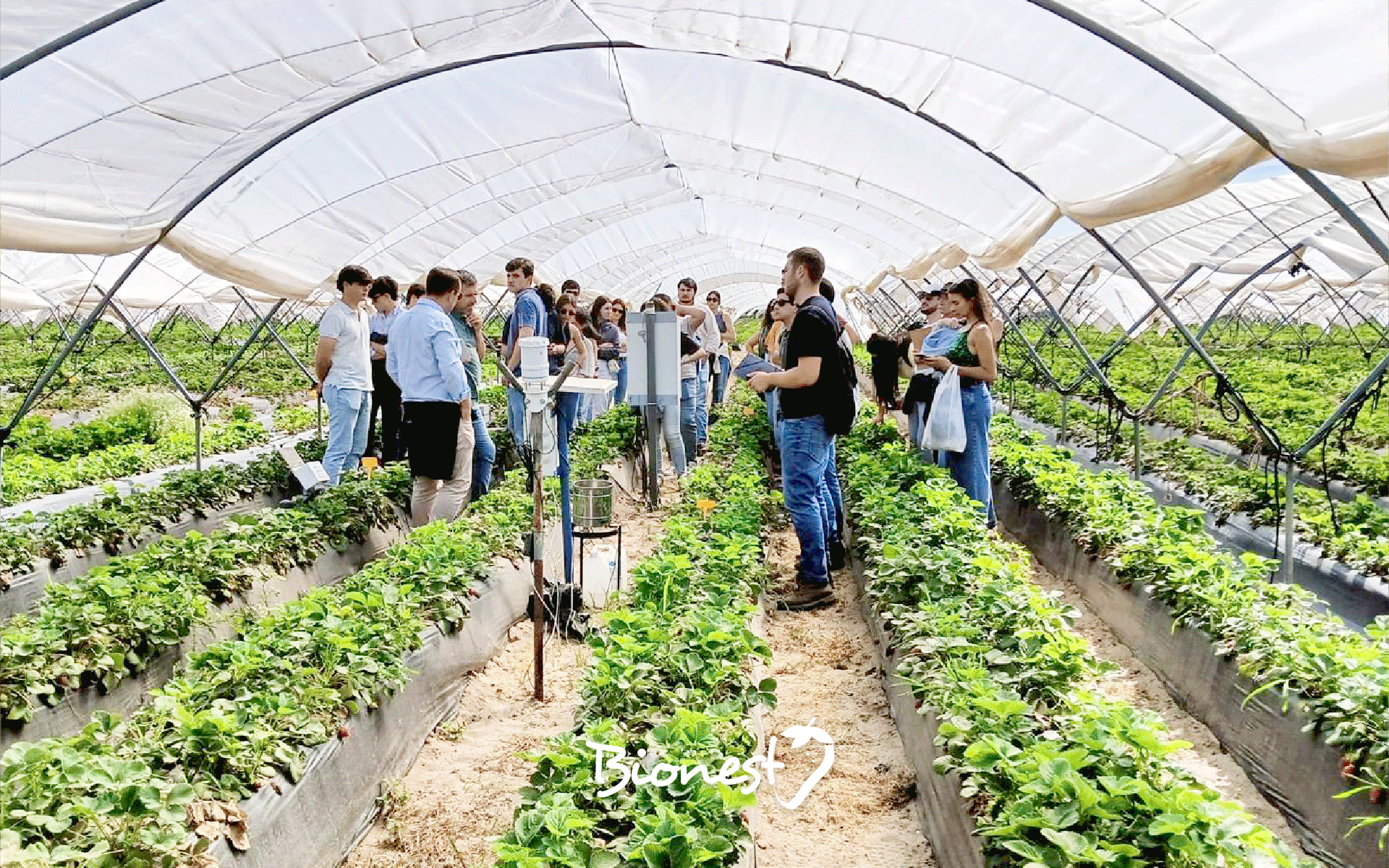 Visita estudiantes fitopatologias